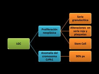 Serie
                       granulocítica

                      Alteraciones en
      Proliferación
                         serie roja y
       neoplásica
                          plaquetas


LGC                      Stem Cell


      Anomalía del
      cromosoma           90% px
         CrPh1
 