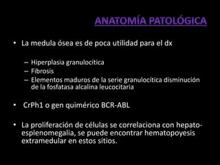 • La medula ósea es de poca utilidad para el dx

   – Hiperplasia granulocítica
   – Fibrosis
   – Elementos maduros de la serie granulocítica disminución
     de la fosfatasa alcalina leucocitaria

• CrPh1 o gen quimérico BCR-ABL

• La proliferación de células se correlaciona con hepato-
  esplenomegalia, se puede encontrar hematopoyesis
  extramedular en estos sitios.
 