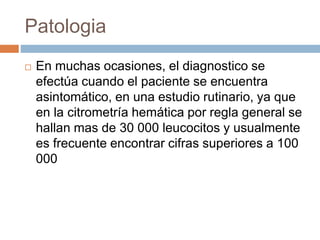 Patologia 
 En muchas ocasiones, el diagnostico se 
efectúa cuando el paciente se encuentra 
asintomático, en una estudio rutinario, ya que 
en la citrometría hemática por regla general se 
hallan mas de 30 000 leucocitos y usualmente 
es frecuente encontrar cifras superiores a 100 
000 
 