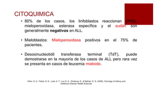 CITOQUIMICA
• 80% de los casos, los linfoblastos reaccionan (PAS),
mieloperoxidasa, esterasa específica y el sudán son
generalmente negativos en ALL.
• Mieloblastos: Mieloperoxidasa positivos en el 75% de
pacientes.
• Desoxinucleotidil transferasa terminal (TdT), puede
demostrarse en la mayoría de los casos de ALL pero rara vez
se presenta en casos de leucemia mieloide.
Orkin, S. H., Fisher, D. E., Look, A. T., Lux IV, S., Ginsburg, D., & Nathan, D. G. (2009). Oncology of infancy and
childhood. Elsevier Health Sciences.
 