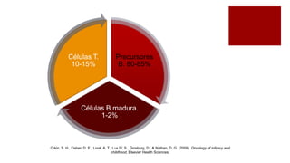 Precursores
B. 80-85%
Células B madura.
1-2%
Células T.
10-15%
Orkin, S. H., Fisher, D. E., Look, A. T., Lux IV, S., Ginsburg, D., & Nathan, D. G. (2009). Oncology of infancy and
childhood. Elsevier Health Sciences.
 