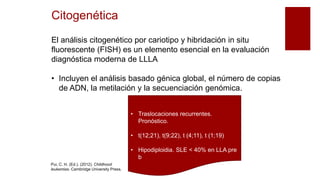 Citogenética
El análisis citogenético por cariotipo y hibridación in situ
fluorescente (FISH) es un elemento esencial en la evaluación
diagnóstica moderna de LLLA
• Incluyen el análisis basado génica global, el número de copias
de ADN, la metilación y la secuenciación genómica.
• Traslocaciones recurrentes.
Pronóstico.
• t(12;21), t(9;22), t (4;11), t (1;19)
• Hipodiploidia. SLE < 40% en LLA pre
b
Pui, C. H. (Ed.). (2012). Childhood
leukemias. Cambridge University Press.
 