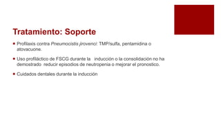 Tratamiento: Soporte
 Profilaxis contra Pneumocistis jirovenci: TMP/sulfa, pentamidina o
atovacuone.
 Uso profiláctico de FSCG durante la inducción o la consolidación no ha
demostrado reducir episodios de neutropenia o mejorar el pronostico.
 Cuidados dentales durante la inducción
 
