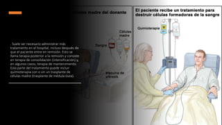 . Suele ser necesario administrar más
tratamiento en el hospital, incluso después de
que el paciente entre en remisión. Esto se
llama terapia posterior a la remisión y consiste
en terapia de consolidación (intensificación) y,
en algunos casos, terapia de mantenimiento.
Esta parte del tratamiento puede incluir
quimioterapia con o sin un trasplante de
células madre (trasplante de médula ósea).
 
