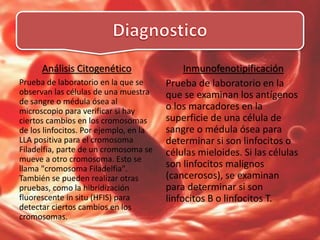 Análisis Citogenético
Prueba de laboratorio en la que se
observan las células de una muestra
de sangre o médula ósea al
microscopio para verificar si hay
ciertos cambios en los cromosomas
de los linfocitos. Por ejemplo, en la
LLA positiva para el cromosoma
Filadelfia, parte de un cromosoma se
mueve a otro cromosoma. Esto se
llama "cromosoma Filadelfia".
También se pueden realizar otras
pruebas, como la hibridización
fluorescente in situ (HFIS) para
detectar ciertos cambios en los
cromosomas.
Inmunofenotipificación
Prueba de laboratorio en la
que se examinan los antígenos
o los marcadores en la
superficie de una célula de
sangre o médula ósea para
determinar si son linfocitos o
células mieloides. Si las células
son linfocitos malignos
(cancerosos), se examinan
para determinar si son
linfocitos B o linfocitos T.
 
