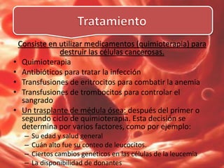 Consiste en utilizar medicamentos (quimioterapia) para
destruir las células cancerosas.
• Quimioterapia
• Antibióticos para tratar la infección
• Transfusiones de eritrocitos para combatir la anemia
• Transfusiones de trombocitos para controlar el
sangrado
• Un trasplante de médula ósea: después del primer o
segundo ciclo de quimioterapia. Esta decisión se
determina por varios factores, como por ejemplo:
– Su edad y salud general
– Cuán alto fue su conteo de leucocitos.
– Ciertos cambios genéticos en las células de la leucemia
– La disponibilidad de donantes
 