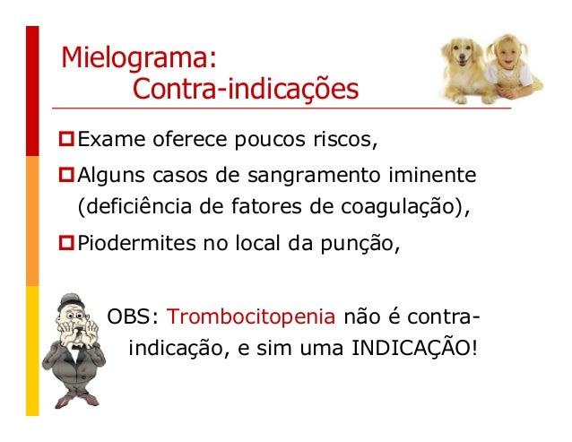 Exame mielograma