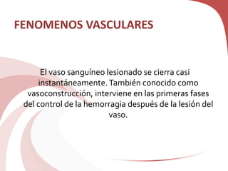 FENOMENOS VASCULARES
El vaso sanguíneo lesionado se cierra casi
instantáneamente.También conocido como
vasoconstrucción, interviene en las primeras fases
del control de la hemorragia después de la lesión del
vaso.
 