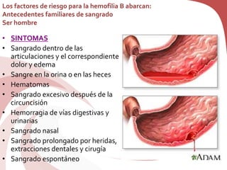Los factores de riesgo para la hemofilia B abarcan:
Antecedentes familiares de sangrado
Ser hombre
• SINTOMAS
• Sangrado dentro de las
articulaciones y el correspondiente
dolor y edema
• Sangre en la orina o en las heces
• Hematomas
• Sangrado excesivo después de la
circuncisión
• Hemorragia de vías digestivas y
urinarias
• Sangrado nasal
• Sangrado prolongado por heridas,
extracciones dentales y cirugía
• Sangrado espontáneo
 