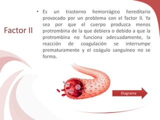 Factor II
• Es un trastorno hemorrágico hereditario
provocado por un problema con el factor II. Ya
sea por que el cuerpo produzca menos
protrombina de la que debiera o debido a que la
protrombina no funciona adecuadamente, la
reacción de coagulación se interrumpe
prematuramente y el coágulo sanguíneo no se
forma.
Diagrama
 