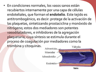 • En condiciones normales, los vasos sanos están
recubiertos internamente por una capa de células
endoteliales, que forman el endotelio. Este tejido es
antitrombogénico, es decir: protege de la activación de
las plaquetas, sintetizando prostaciclina y monóxido de
nitrógeno; estos dos mediadores son potentes
vasodilatadores, e inhibidores de la agregación
plaquetaria, cuya síntesis se estimula durante el
proceso de coagulación por mediadores como la
trombina y citoquinas.
 