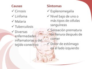 Causas
 Cirrosis
 Linfoma
 Malaria
 Tuberculosis
 Diversas
enfermedades
inflamatorias y del
tejido conectivo
Síntomas
 Esplenomegalia
 Nivel bajo de uno o
más tipos de células
sanguíneas
 Sensación prematura
de llenura después de
comer
 Dolor de estómago
en el lado izquierdo
 