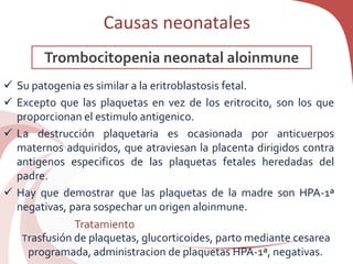 Causas neonatales
 Su patogenia es similar a la eritroblastosis fetal.
 Excepto que las plaquetas en vez de los eritrocito, son los que
proporcionan el estimulo antigenico.
 La destrucción plaquetaria es ocasionada por anticuerpos
maternos adquiridos, que atraviesan la placenta dirigidos contra
antigenos especificos de las plaquetas fetales heredadas del
padre.
 Hay que demostrar que las plaquetas de la madre son HPA-1ª
negativas, para sospechar un origen aloinmune.
Trasfusión de plaquetas, glucorticoides, parto mediante cesarea
programada, administracion de plaquetas HPA-1ª, negativas.
Trombocitopenia neonatal aloinmune
Tratamiento
 