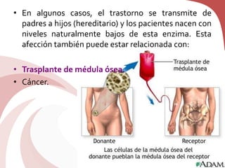 • En algunos casos, el trastorno se transmite de
padres a hijos (hereditario) y los pacientes nacen con
niveles naturalmente bajos de esta enzima. Esta
afección también puede estar relacionada con:
• Trasplante de médula ósea.
• Cáncer.
 