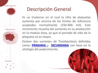 Descripción General
• Es un trastorno en el cual la cifra de plaquetas
aumenta por encima de los limites de referencia
aceptados normalmente (150-400 mil). Este
incremento resuelta del aumento en su producción
en la medula ósea, ya que el periodo de vida de la
plaqueta no es mayor.
Existen dos variantes de Trombocitosis definidas
como: PRIMARIA y SECUNDARIA con base en la
etiología del padecimiento.
 