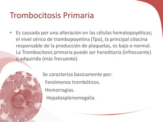 Trombocitosis Primaria
• Es causada por una alteración en las células hematopoyéticas;
el nivel sérico de trombopoyetina (Tpo), la principal citocina
responsable de la producción de plaquetas, es bajo o normal.
La Trombocitosis primaria puede ser hereditaria (infrecuente)
o adquirida (más frecuente).
Se caracteriza basicamente por:
Fenómenos trombóticos.
Hemorragias.
Hepatosplenomegalia.
 