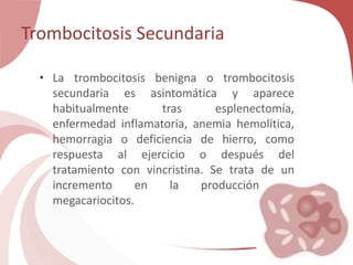• La trombocitosis benigna o trombocitosis
secundaria es asintomática y aparece
habitualmente tras esplenectomía,
enfermedad inflamatoria, anemia hemolítica,
hemorragia o deficiencia de hierro, como
respuesta al ejercicio o después del
tratamiento con vincristina. Se trata de un
incremento en la producción de
megacariocitos.
Trombocitosis Secundaria
 