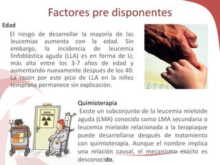 Factores pre disponentes
Edad
El riesgo de desarrollar la mayoría de las
leucemias aumenta con la edad. Sin
embargo, la incidencia de leucemia
linfoblástica aguda (LLA) es en forma de U,
más alta entre los 3-7 años de edad y
aumentando nuevamente después de los 40.
La razón por este pico de LLA en la niñez
temprana permanece sin explicación.
Quimioterapia
Existe un subconjunto de la leucemia mieloide
aguda (LMA) conocido como LMA secundaria o
leucemia mieloide relacionada a la terapiaque
puede desarrollarse después de tratamiento
con quimioterapia. Aunque el nombre implica
una relación causal, el mecanismo exacto es
desconocido.
 