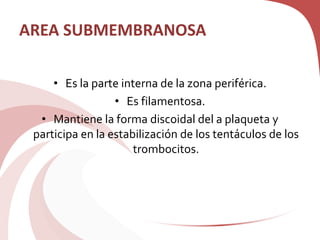 AREA SUBMEMBRANOSA
• Es la parte interna de la zona periférica.
• Es filamentosa.
• Mantiene la forma discoidal del a plaqueta y
participa en la estabilización de los tentáculos de los
trombocitos.
 