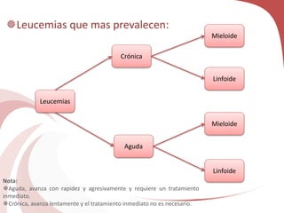 Leucemias
Crónica
Aguda
Linfoide
Mieloide
Linfoide
Mieloide
Leucemias que mas prevalecen:
Nota:
Aguda, avanza con rapidez y agresivamente y requiere un tratamiento
inmediato.
Crónica, avanza lentamente y el tratamiento inmediato no es necesario.
 