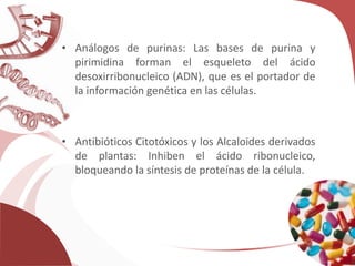 • Análogos de purinas: Las bases de purina y
pirimidina forman el esqueleto del ácido
desoxirribonucleico (ADN), que es el portador de
la información genética en las células.
• Antibióticos Citotóxicos y los Alcaloides derivados
de plantas: Inhiben el ácido ribonucleico,
bloqueando la síntesis de proteínas de la célula.
 