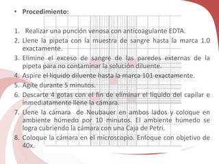 • Procedimiento:
1. Realizar una punción venosa con anticoagulante EDTA.
2. Llene la pipeta con la muestra de sangre hasta la marca 1.0
exactamente.
3. Elimine el exceso de sangre de las paredes externas de la
pipeta para no contaminar la solución diluente.
4. Aspire el líquido diluente hasta la marca 101 exactamente.
5. Agite durante 5 minutos.
6. Descarte 4 gotas con el fin de eliminar el líquido del capilar e
inmediatamente llene la cámara.
7. Llene la cámara de Neubauer en ambos lados y coloque en
ambiente húmedo por 10 minutos. El ambiente húmedo se
logra cubriendo la cámara con una Caja de Petri.
8. Coloque la cámara en el microscopio. Enfoque con objetivo de
40x.
 