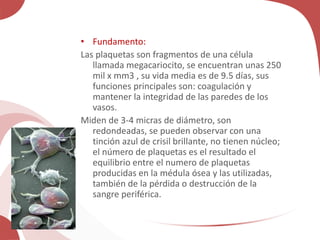 • Fundamento:
Las plaquetas son fragmentos de una célula
llamada megacariocito, se encuentran unas 250
mil x mm3 , su vida media es de 9.5 días, sus
funciones principales son: coagulación y
mantener la integridad de las paredes de los
vasos.
Miden de 3-4 micras de diámetro, son
redondeadas, se pueden observar con una
tinción azul de crisil brillante, no tienen núcleo;
el número de plaquetas es el resultado el
equilibrio entre el numero de plaquetas
producidas en la médula ósea y las utilizadas,
también de la pérdida o destrucción de la
sangre periférica.
 