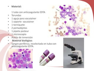 • Material:
1 tubo con anticoagulante EDTA
• Torundas
• 1 aguja para vacutainer
• 1 soporte vacutainer
• 1 torniquete
• 2 portaobjetos
• 1 pipeta pasteur
• 1 microscopio
• Aceite de inmersión
• Material biológico:
• Sangre periférica, recolectada en tubo con
anticoagulante EDTA.
 