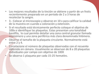 • Los mejores resultados de la tinción se obtiene a partir de un frotis
recientemente preparado en un período de 2 a 3 horas de
recolectar la sangre.
• 3.- Colocar al microscopio y observe en 10 x para calificar la calidad
de la muestra en cuando a coloración y extensión.
• Si el resultado está técnicamente perfecto coloque el objetivo de
100x e identifique las plaquetas. Estas presentan una tonalidad
basófila, lo cual permite detallar una zona central granular llamada
cromómero y una zona periférica más clara denominada hilómero.
• Observe el tamaño de la plaqueta circulante. Normalmente está
entre 2 y 4.
• Correlacione el número de plaquetas observadas con el recuento
obtenido en cámara. Usualmente se observan de 8 a 20 plaquetas
individuales por campo con objetivo de 100X
• Se observa 1 plaqueta por cada 15-25 hematíes.
 