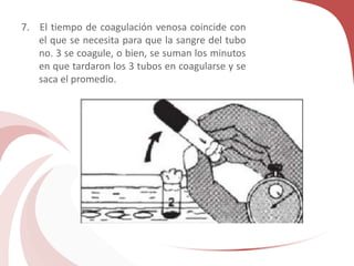 7. El tiempo de coagulación venosa coincide con
el que se necesita para que la sangre del tubo
no. 3 se coagule, o bien, se suman los minutos
en que tardaron los 3 tubos en coagularse y se
saca el promedio.
 