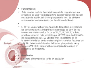 • Fundamento:
• Esta prueba mide la fase intrínseca de la coagulación, en
presencia de una “tromboplastina parcial” (cefalina), la cual
sustituye la acción del factor plaquetario tres. Se obtiene
máximo efecto de contacto por la adición del kaolín
•
• El TPT es una prueba importante de despistaje, detectando
las deficiencias más insignificantes (debajo de 25% de los
niveles normales) de los factores XII, XI, IX, VIII, X, V. Esta
prueba es mucho más sensible que el TCST para la detección
de estas deficiencias. Su utilidad más importante es en
la detección de las deficiencias congénitas de los factores VIII
y IX. No detecta deficiencias del factor plaquetario tres y
factores VII y XIII. Esta prueba está alargada también en
presencia de heparina.
•
• Resultados
• Se anota el tiempo que tarda en coagular
 
