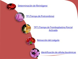 Determinación de fibrinógeno
TP (Tiempo de Protrombina)
TPT (Tiempo deTromboplastina Parcial
Activada
Retracción del coágulo
Identificación de células leucémicas
 