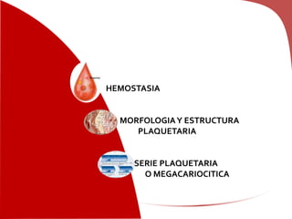HEMOSTASIA
MORFOLOGIAY ESTRUCTURA
PLAQUETARIA
SERIE PLAQUETARIA
O MEGACARIOCITICA
 