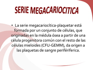 • La serie megacariocítica-plaquetar está
formada por un conjunto de células, que
originadas en la médula ósea a partir de una
célula progenitora común con el resto de las
células mieloides (CFU-GEMM), da origen a
las plaquetas de sangre perifériferica.
 