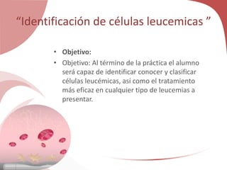 “Identificación de células leucemicas ”
• Objetivo:
• Objetivo: Al término de la práctica el alumno
será capaz de identificar conocer y clasificar
células leucémicas, así como el tratamiento
más eficaz en cualquier tipo de leucemias a
presentar.
 