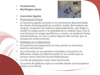 • Fundamento:
• Morfología celular
• Leucemias Agudas
• Presentación Clínica
• La leucemia aguda consiste en el crecimiento descontrolado
de células hematopoyéticas o células madre (formadoras de
sangre), incapaces de madurar adecuadamente, que llegan a
invadir la mayor parte o la totalidad de la médula ósea, tras lo
cual alcanzan la sangre periférica y, a veces, se producen focos
extrahemáticos, en uno o varios órganos del cuerpo, que se
comportan como tumores.
• Hallazgos en el laboratorio
• Al momento del diagnostico lo más común es encontrar
anemia normocitica:
• Los eritrocitos se encuentran nucleados y leucocitos en
diferentes etapas de diferenciación en un cuadro que se
conoce como reacción leucoeritoblastosica.
• La cifra de plaquetas suele estar disminuida.
• La cuenta de glóbulos rojos es variable desde una leucopenia
grave a una menor.
 