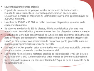 • Leucemias granulocitica crónica
• El grado de la anemia es proporcional al incremento de los leucocitos.
Cuenta de los reticulocitos es normal o puede estar un poco elevada.
Leucocitosis siempre es mayor de 25 000/ microlitros y por lo general mayor de
200 000/ micolitro.
• Las cifras de 25 000 a 50 000 se hallan cuando el diagnostico se realiza en la
etapa muy temprana.
• Se observa alrededor de 3% de blastos, 4% de promielocitos y los que mas
abundan son los mielocitos y los metamielocitos. Las plaquetas suelen aumentar.
• El estudio de la médula ósea (MO) no es suficiente para confirmar el diagnóstico
pero sirve para proporcionar el material necesario para el estudio citogenético.
• La MO es hipercelular con predominio de mielocitos: por lo general la suma de
mieloblastos y promielocitos se menor de 10%.
• Los megacariocitos pueden estar aumentados y en ocasiones es posible que sean
tan abundantes como en la trombocitemia esencial.
• Los valores normales de la fosfatasa alcalina de los leucocitos (FAL) son de 30 a
90 puntos y en la LGC suelen obtenerse cifras menos de 10 o no está presente.
• Incremento de los niveles séricos de vitamina B 12 que se debe a aumento de la
transcobalamina I.
 