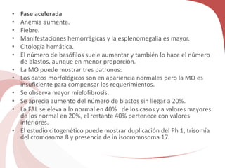 • Fase acelerada
• Anemia aumenta.
• Fiebre.
• Manifestaciones hemorrágicas y la esplenomegalia es mayor.
• Citología hemática.
• El número de basófilos suele aumentar y también lo hace el número
de blastos, aunque en menor proporción.
• La MO puede mostrar tres patrones:
• Los datos morfológicos son en apariencia normales pero la MO es
insuficiente para compensar los requerimientos.
• Se observa mayor mielofibrosis.
• Se aprecia aumento del número de blastos sin llegar a 20%.
• La FAL se eleva a lo normal en 40% de los casos y a valores mayores
de los normal en 20%, el restante 40% pertenece con valores
inferiores.
• El estudio citogenético puede mostrar duplicación del Ph 1, trisomía
del cromosoma 8 y presencia de in isocromosoma 17.
 