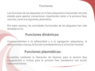 Funciones
Las funciones de las plaquetas en la fase plaquetaria trascienden de este
estadio para aportar mecanismos importantes tanto a la primera fase,
vascular, como a la siguiente, plasmática.
Por estas razones, las actividades funcionales de las plaquetas han sido
divididas en la:
Correspondientes a la adhesividad y a la agregación plaquetaria, la
metamorfosis viscosa, la función trombodinámica y la función retráctil
Cumplidas mediante la liberación de factores para la tercera fase
(coagulación) e incluso para la primera fase (serotonina con acción
vasoconstrictora).
Funciones dinámicas:
Funciones plasmáticas:
 