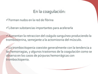 En la coagulación:
Forman nudos en la red de fibrina
Liberan substancias importantes para acelerarla
Aumentan la retraccion del coágulo sanguíneo produciendo la
trombostenina, semejante a la actomiosnia del músculo.
La trombocitopenia coexiste generalmente con la tendencia a
las hemorragias, y algunos trastornos de la coagulación como se
observa en los casos de púrpuras hemorrágicas con
trombocitopenia.
 