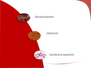 Descripción general
Cascada de la coagulación
Clasificación
 