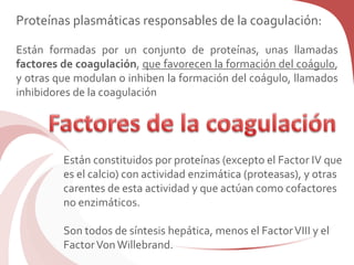 Proteínas plasmáticas responsables de la coagulación:
Están formadas por un conjunto de proteínas, unas llamadas
factores de coagulación, que favorecen la formación del coágulo,
y otras que modulan o inhiben la formación del coágulo, llamados
inhibidores de la coagulación
Están constituidos por proteínas (excepto el Factor IV que
es el calcio) con actividad enzimática (proteasas), y otras
carentes de esta actividad y que actúan como cofactores
no enzimáticos.
Son todos de síntesis hepática, menos el FactorVIII y el
FactorVonWillebrand.
 