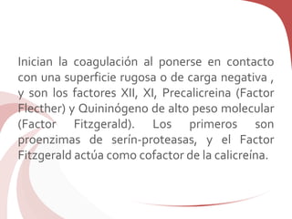 Inician la coagulación al ponerse en contacto
con una superficie rugosa o de carga negativa ,
y son los factores XII, XI, Precalicreina (Factor
Flecther) y Quininógeno de alto peso molecular
(Factor Fitzgerald). Los primeros son
proenzimas de serín-proteasas, y el Factor
Fitzgerald actúa como cofactor de la calicreína.
 