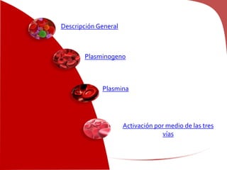 Descripción General
Plasminogeno
Plasmina
Activación por medio de las tres
vías
 