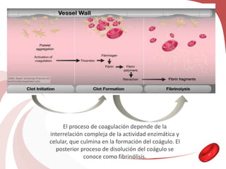 El proceso de coagulación depende de la
interrelación compleja de la actividad enzimática y
celular, que culmina en la formación del coágulo. El
posterior proceso de disolución del coágulo se
conoce como fibrinólisis.
 