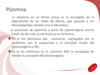 Plasmina
La plasmina en su forma activa es la encargada de la
degradación de las redes de fibrina, que pasarán a ser
fibrinopéptidos solubles tras la fibrinólisis.
La activación de plasmina a partir de plasminógeno ocurre
través de dos vías, la extrínseca y la intrínseca:
 En la vía extrínseca por sustancias, segregadas por el
endotelio, son la uroquinasa y el activador tisular del
plasminógeno o tPA.
 En la vía intrínseca es la calicreína (KK) la encargada de
mediar la activación del plasminógeno.
 