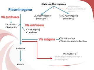 Glutamico Plasminogeno
Lis. Plasminogeno
(mas rápida)
Met. Plasminogeno
(mas lenta)
Calicreina
Factor XIIa
Plasmina
Fibrina
Rompimiento de
pequeñas cantidades de
plasmina.
T-pa (rápida)
Urosinasa
Estreptosinasa
Padecimiento trombocitico
Inactivador C
Inhibe el paso de plasmina a
plasminógeno.
 