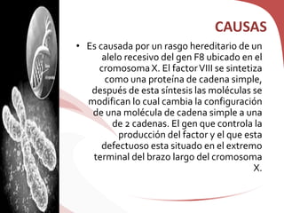 CAUSAS
• Es causada por un rasgo hereditario de un
alelo recesivo del gen F8 ubicado en el
cromosoma X. El factorVIII se sintetiza
como una proteína de cadena simple,
después de esta síntesis las moléculas se
modifican lo cual cambia la configuración
de una molécula de cadena simple a una
de 2 cadenas. El gen que controla la
producción del factor y el que esta
defectuoso esta situado en el extremo
terminal del brazo largo del cromosoma
X.
 