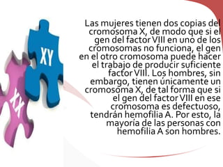 Las mujeres tienen dos copias del
cromosoma X, de modo que si el
gen del factorVIII en uno de los
cromosomas no funciona, el gen
en el otro cromosoma puede hacer
el trabajo de producir suficiente
factorVIII. Los hombres, sin
embargo, tienen únicamente un
cromosoma X, de tal forma que si
el gen del factorVIII en ese
cromosoma es defectuoso,
tendrán hemofilia A. Por esto, la
mayoría de las personas con
hemofiliaA son hombres.
 