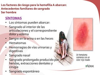 Los factores de riesgo para la hemofilia A abarcan:
Antecedentes familiares de sangrado
Ser hombre
SÍNTOMAS
• Los síntomas pueden abarcar:
• Sangrado al interior de las
articulaciones y el correspondiente
dolor y edema
• Sangre en la orina o en las heces
• Hematomas
• Hemorragias de vías urinarias y
digestivas
• Sangrado nasal
• Sangrado prolongado producido por
heridas, extracciones dentales y
cirugía
• Sangrado espontáneo
 